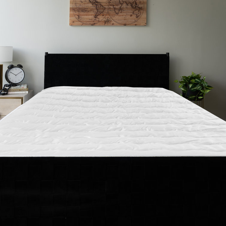 Sealy Polyester Mattress Pad & Reviews Wayfair